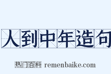 人到中年造句是什么意思的图片